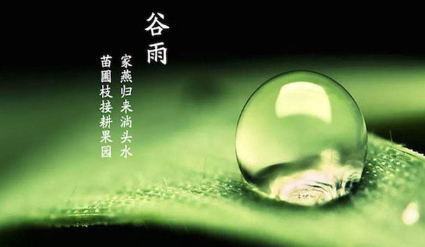 谷雨，春季的最后一個節(jié)氣